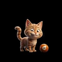 Gato