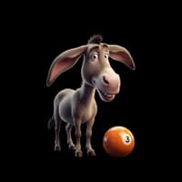 Burro