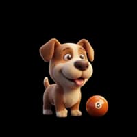 Cachorro